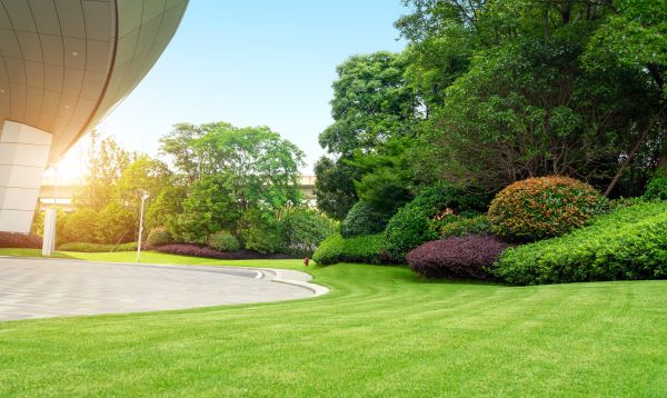 Commercial Shrub Trimming in Gulfport