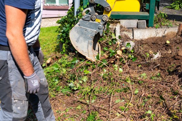 Hedge Removal Service in Gulfport