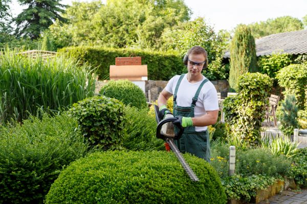 Shrubs Trimming in Gulfport